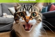 探究猫咪咬人的原因，猫咪咬人的原因探究