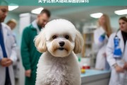 关于比熊犬呕吐原因的探讨，比熊犬呕吐原因探究