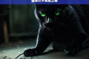 猫咪爪子黑色之秘，猫咪爪子黑色的秘密