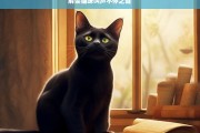 解读猫咪叫声不停之谜，猫咪为何叫声不停