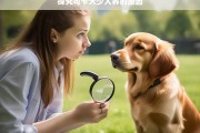 探究可卡犬少人养的原因，可卡犬少人养的背后原因探究