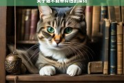 关于猫不能带铃铛的探讨，猫为何不能带铃铛