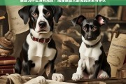 泰迪犬断尾之谜，历史渊源与现代争议