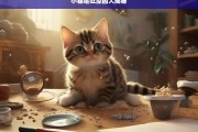 小猫呕吐原因大揭秘，小猫呕吐原因大揭秘