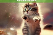 关于小猫不让碰的探究，小猫为何不让碰之探究