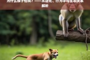 猴子怕狗的原因，进化、行为学与生态关系的深度解析