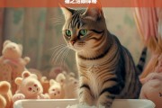 猫之洁癖探秘，猫的洁癖现象探究