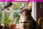 探究猫咪爱叫的原因，猫咪爱叫的原因探究