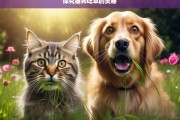 探究猫狗吃草的奥秘，猫狗吃草现象探秘