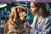 探究史宾格犬难养之谜，史宾格犬为何难养？