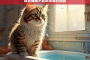 探究猫咪不喜欢洗澡的原因，猫咪为何不喜欢洗澡