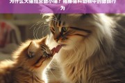 揭秘猫科动物舔舐行为，大猫为何经常舔小猫？