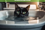 探究猫喜欢喝马桶水的奥秘，猫为何喜欢喝马桶水之探究