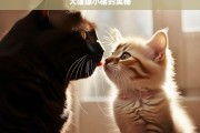 大猫舔小猫的奥秘，大猫舔小猫的奥秘探究