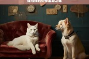 猫与狗的价格差异之谜，猫与狗价格差异之解