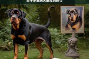 关于罗威纳犬断尾的探讨，罗威纳犬断尾之探讨