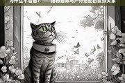 为什么不溜猫？——揭秘猫咪与户外活动的复杂关系