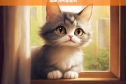 猫咪为何老是叫，猫咪频繁叫唤原因探究