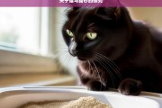 关于猫与猫砂的探究，猫与猫砂之探究