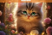 萌猫的秘密，萌猫秘密大揭秘