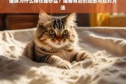 猫咪睡在猫砂盆的原因及应对策略