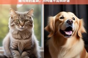 猫与狗的差异，为何猫不如狗听话，猫与狗的差异，猫为何不如狗听话