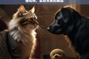 猫和狗，复杂关系的解读，解读猫和狗的复杂关系