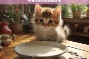 小猫不吃奶的原因探寻，小猫不吃奶的原因探究