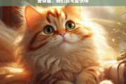 宠物猫，我们的可爱伙伴，宠物猫，可爱的伙伴