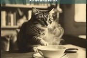 关于猫不踩奶现象的探究，猫为何不踩奶现象之探究