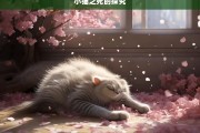 小猫之死的探究，小猫之死探秘