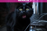 猫咬电线之谜，探究猫咬电线之谜