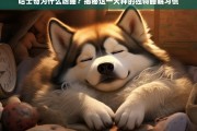 哈士奇为何嗜睡？揭秘这一犬种的独特睡眠习惯