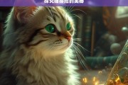 探究猫擦脸的奥秘，猫擦脸行为探秘