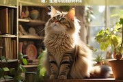 猫，生活中的独特存在，猫，生活中独特的存在