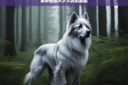 解析银狐犬少人养的原因，银狐犬少人养的原因解析