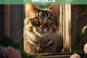 母猫的离家之谜，母猫为何离家