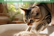 猫为什么会用猫砂？揭秘猫咪的卫生习惯与本能行为