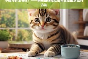 小猫呕吐的常见原因及应对方法解析