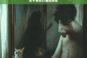 关于喜欢打猫的反思，对喜欢打猫行为的深刻反思