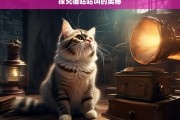 探究猫咕咕叫的奥秘，猫咕咕叫的奥秘探究