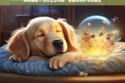 狗狗梦中叫唤的原因，揭秘狗狗睡眠中的行为与梦境