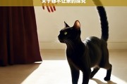 关于猫不让亲的探究，猫为何不让亲之探究