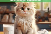 猫咪为什么不能喝牛奶？揭秘背后的科学原因