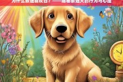 泰迪犬的行为与心理，揭秘其独特习性的背后原因