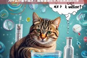 揭秘猫咪饮水习惯，为什么小猫不爱喝水？科学解析背后的原因