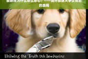 泰迪犬争议背后的真相，为何有人觉得它们恶心？