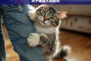 关于猫挠人的探究，猫挠人现象探究