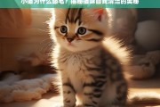 猫咪舔毛的奥秘，自我清洁背后的科学解释