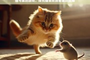 猫与鼠的游戏，探究猫喜欢玩老鼠的奥秘，猫为何喜欢玩老鼠之探究